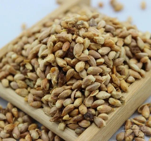 身边的本草-既可以改善失眠又可以治疗便秘