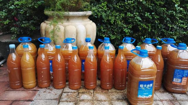 人民日报称：这些食物功效夸张，实际用处不大，谨慎购买