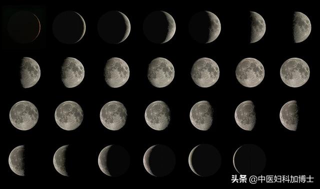 中医认为：月亮与健康有密切的关系，要跟着月亮去养生