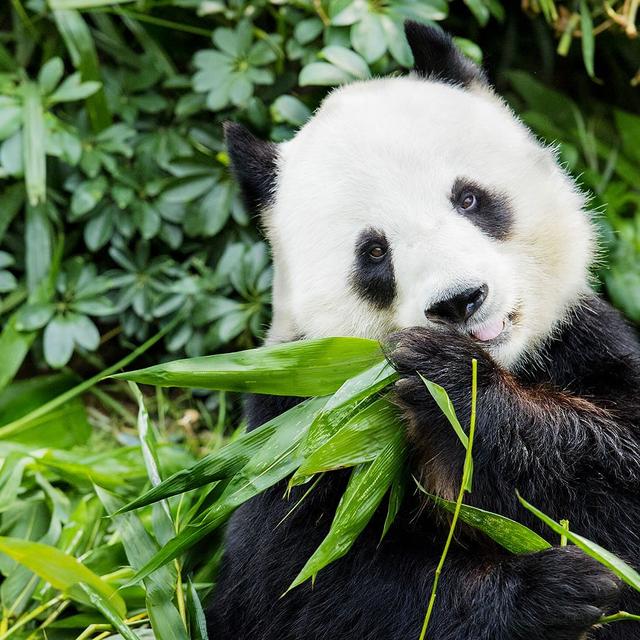 好久的专栏