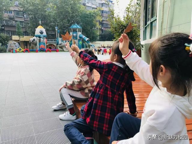 「班级风采」落叶知秋