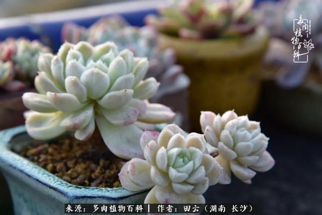 影片剧照