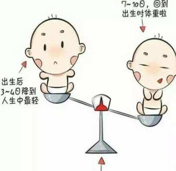 新生兒生理性體重下降 Kks資訊網