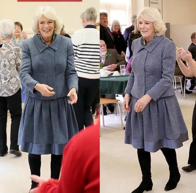 戴安娜卡米拉和查尔斯的故事（查尔斯双标）