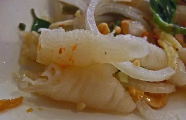 肚脐眼后面通向哪里？| 趣问万物