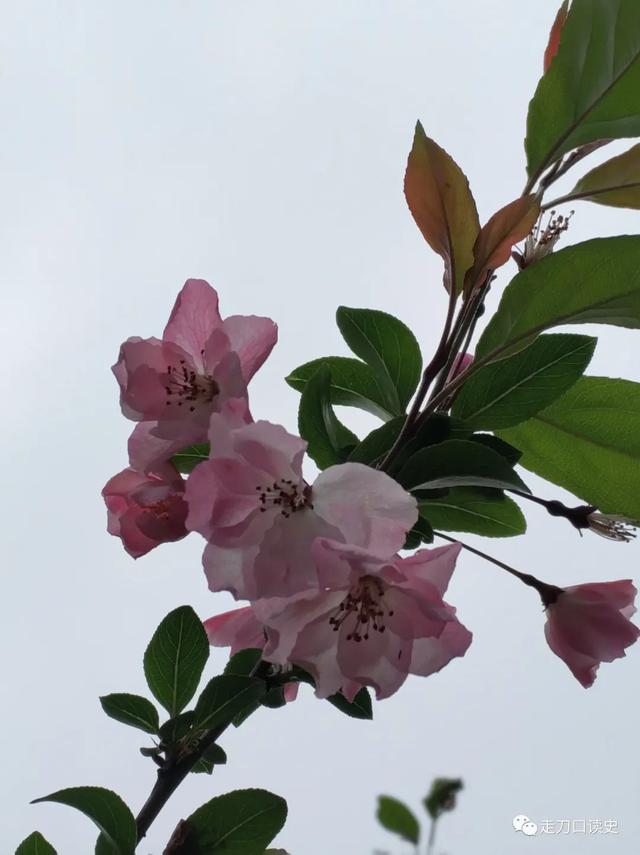 酒徒遇啬鬼原文及翻译（酒徒遇啬鬼文言文品鉴）