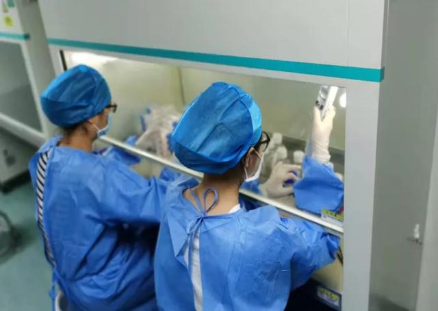 来看看羊水细胞的“奇妙之旅”吧