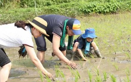 妈妈崩溃痛哭：教会孩子合理花钱，越早做越好