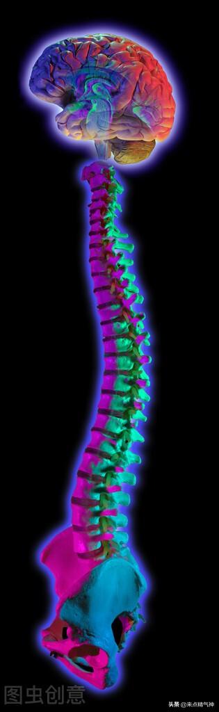 中医告诉你保健脊柱的这3个关键点