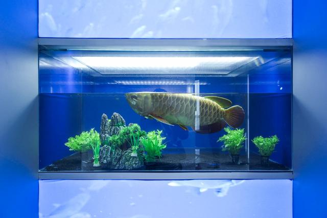 AI+Science、元宇宙、仿生机器人……云栖大会带你看到未来的样子