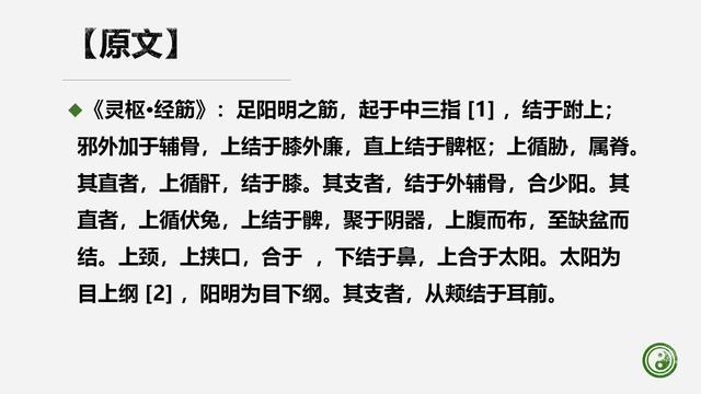 足阳明胃经与腧穴