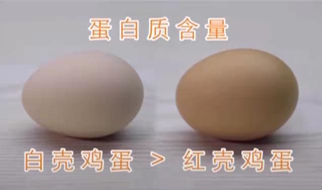 红壳鸡蛋和白壳鸡蛋的区别