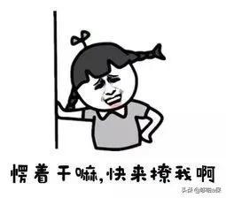 互联网保险新规，收益率4.025%的年金保险快买不到了