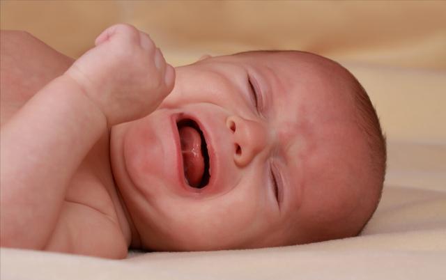 恒河猴实验：以爱之名义，做残忍虐心的实验？使众多幼儿重获母爱