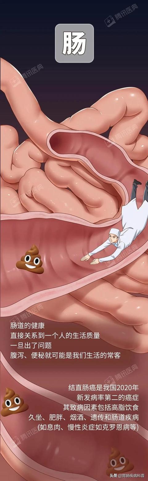 全网，超过50%的“健康”科普不“健康”，这篇防癌科普值得推荐