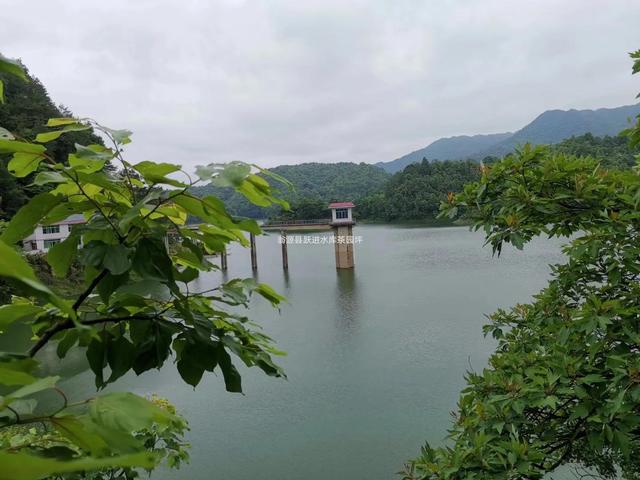 治便秘又治泄泻的补中益气汤