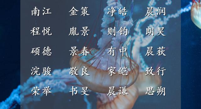 器韵不凡的男孩名字，高人雅致，轩然霞举