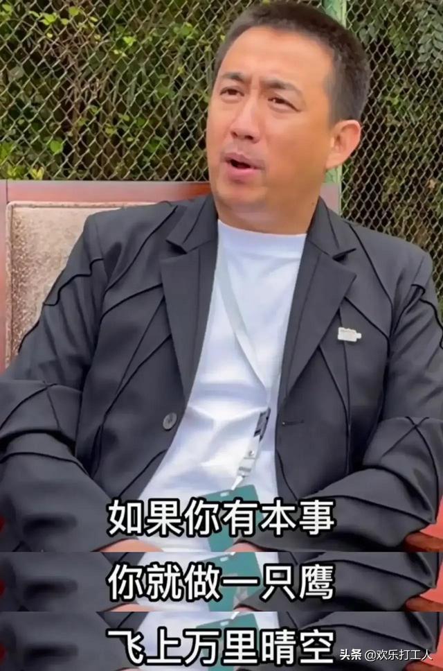 黄磊怼雷军风口论