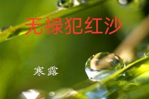 今日寒露，农村老人说，今年寒露“无禄”犯“红沙”，什么意思？