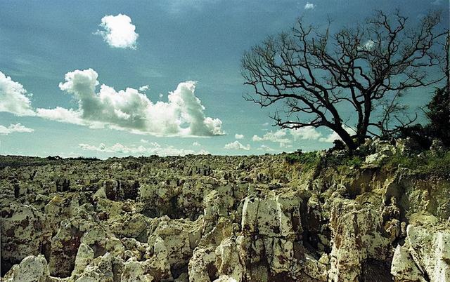 靠“鸟粪”暴富的国家，全民跑车成标配，结果矿挖完了全国傻眼了