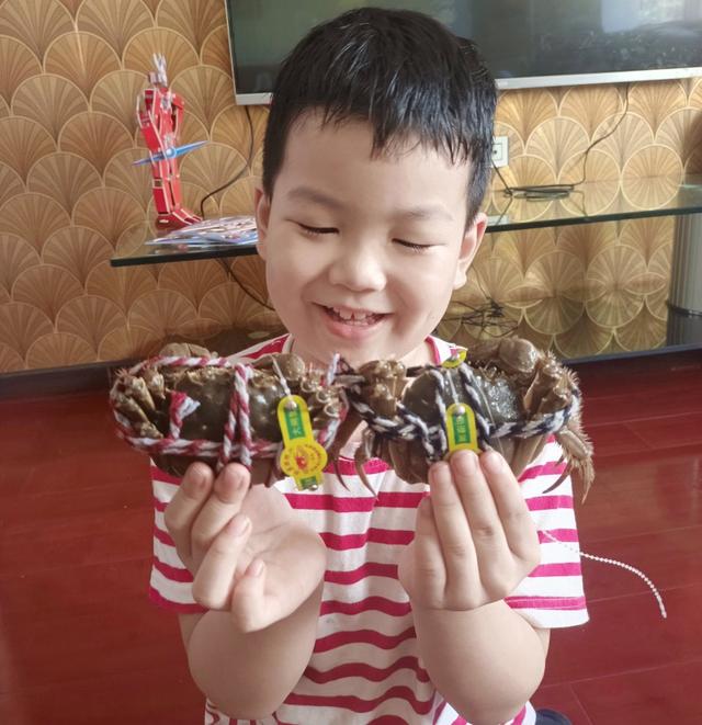 致父亲母亲的一封信