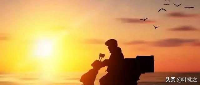 “把孩子养得太优秀，是我做过最错误的决定”