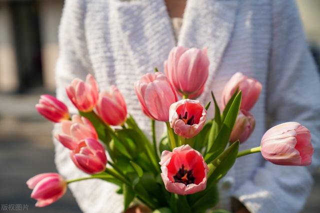 妙语短篇（简短的语录文案精选40句）