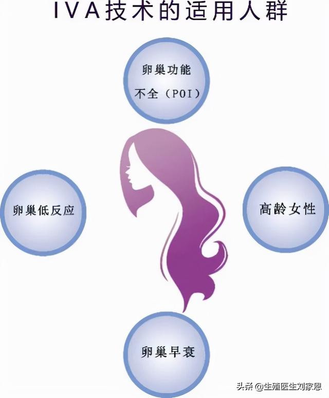 卵巢早衰女性福音——家恩德运探索原始卵泡体外激活技术（IVA）