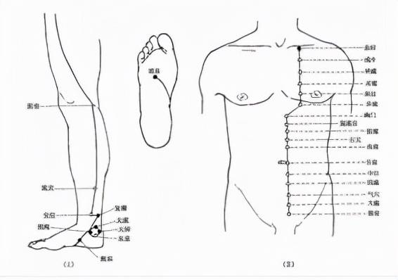 冬季精油使用指南