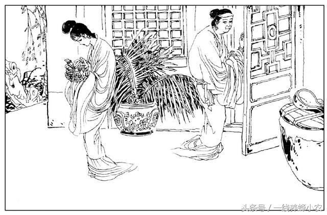 聊斋志异婴宁:聊斋志异图画版之婴宁译文白话文