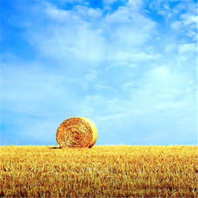 女人好运吉祥微信头像 – 周易天地