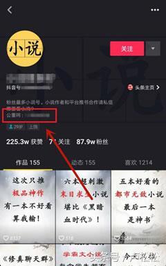 项目揭秘:公众号小说赚钱与推广的暴利玩法(干货)