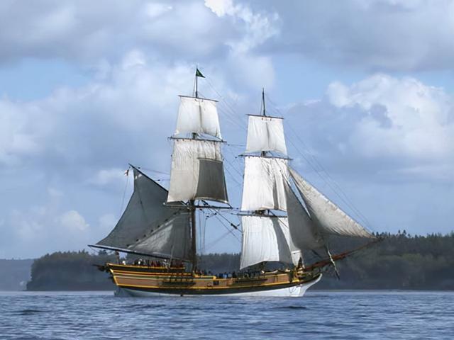 世界上最奇葩的死法有哪些（最有趣的10种死法）