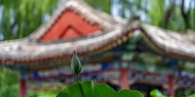 佛说：苦非苦，乐非乐