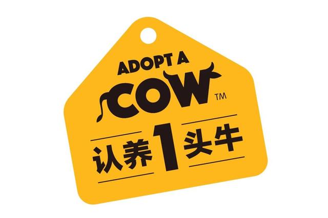 认养一头牛：养奶牛还是卖牛奶？