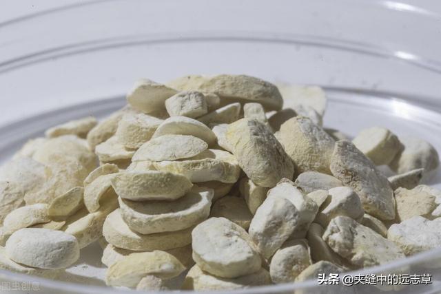 肩周炎，活动受限？送你四味中药，祛顽痰，通经络，快来了解下吧