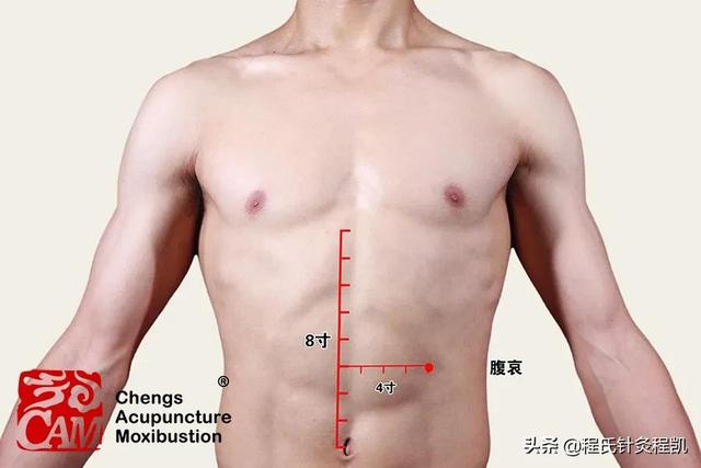 程凯养生说：腹哀解腹胀