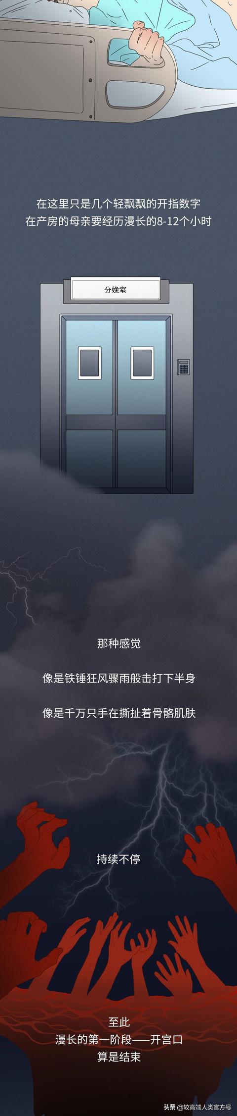 你出生前的24小时，都经历了什么？