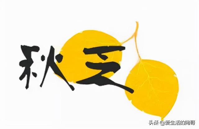 秋季养生，做到防秋凉，秋燥，秋虚，秋乏，冬天病不找，健康长寿