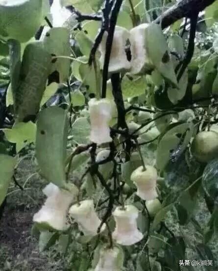 算命说的事业和财运是一样吗