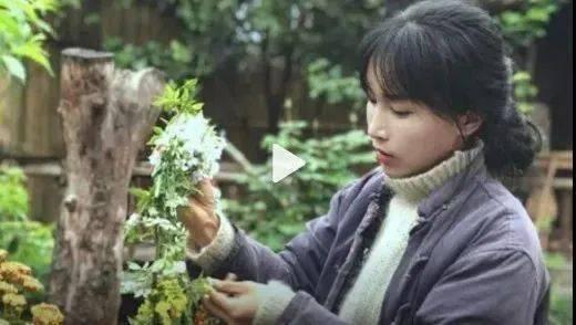 特斯拉叫停“0首付”购车方案；中消协点名双11部分商家先涨后降