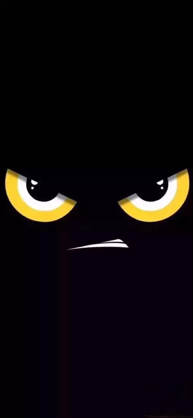 抖音很火的猫壁纸抖音网红星狗壁纸