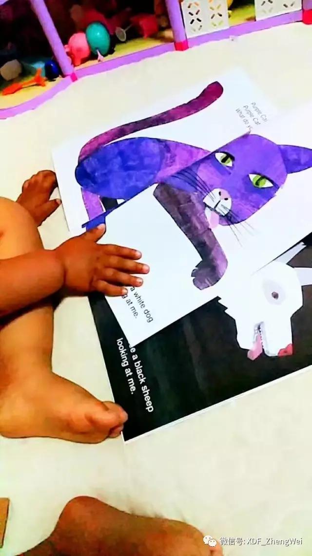 抓住宝宝语言的敏感期，认真英语启蒙2个月就有如此欣喜的变化