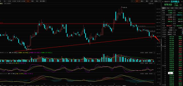 11.2盘中解析，半导体强势回归，白酒继续向下，基民该怎么办？