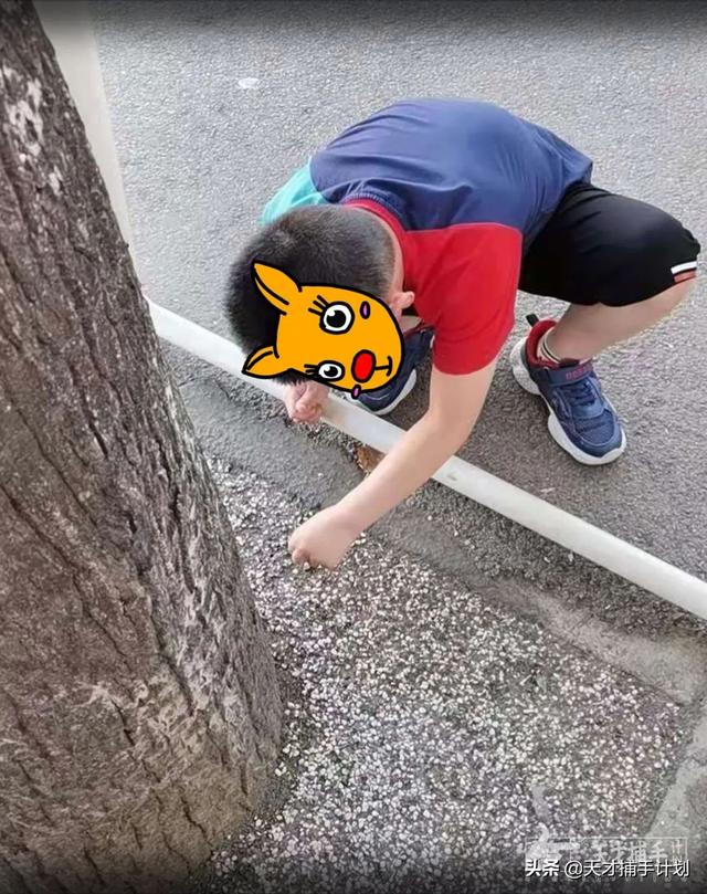 北京非典型全职妈妈：倾家荡产购入学区房，我的孩子却得了孤独症