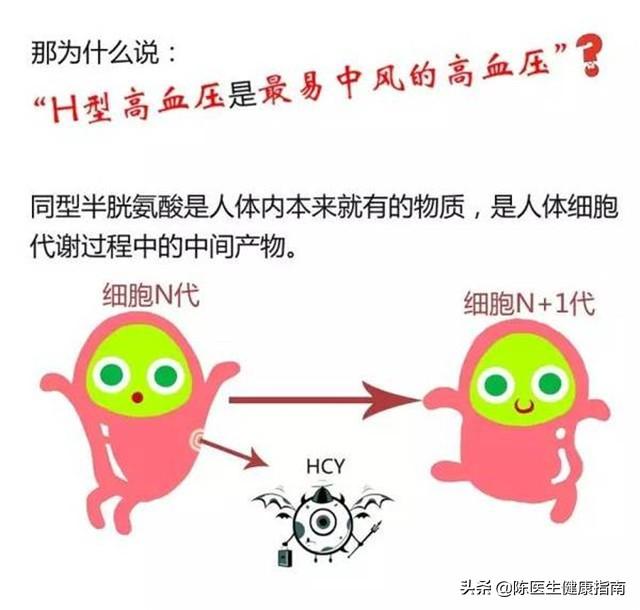 高血压补叶酸，吃多长时间合适？同型半胱氨酸高，多长时间复查？