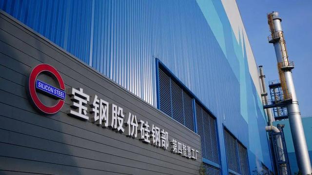 钢铁板块龙头股票(钢铁板块龙头股票有哪些) 第9张