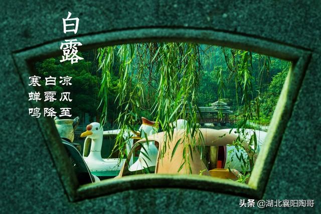 白露到，吃2粥，饮2水，喝2汤，润秋燥解秋乏，开启健康养生模式