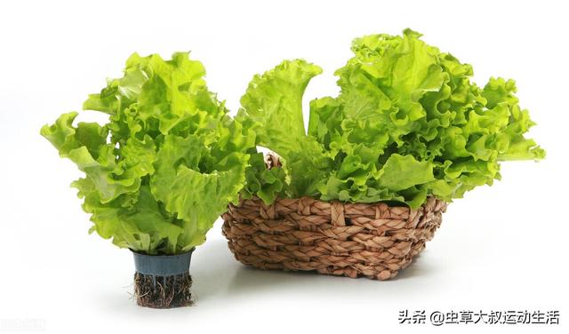 9种非常值得推荐的低碳水化合物蔬菜