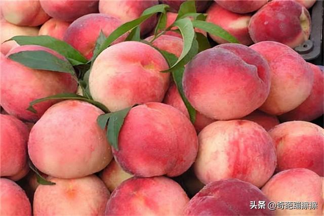 人到中年不得已，多吃应季水果，疏通血管，养心安神，提高睡眠